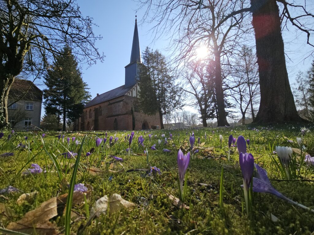 20240308_Krokusse vor der Stiftskirche
