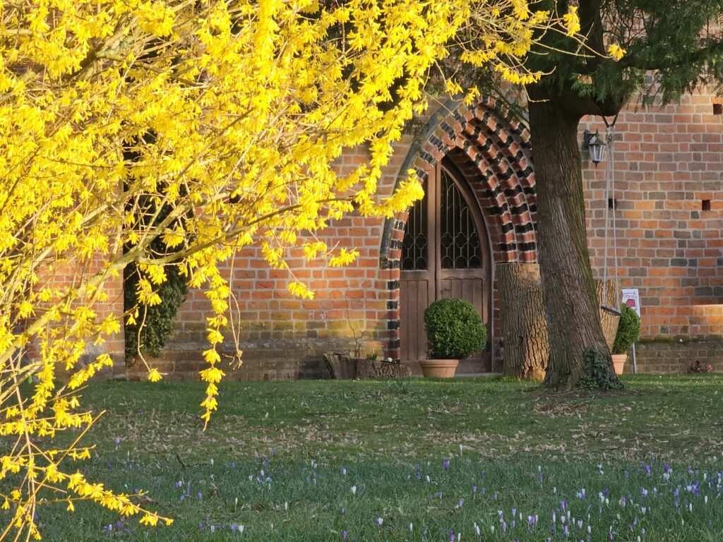 Frühling im Stift1