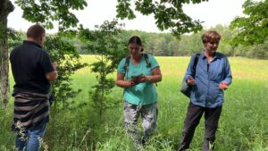 Mehr über den Artikel erfahren Kräuterwanderung mit Biologin Sylvia Geisel: Entdeckung der Natur und ihrer Schätze